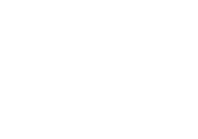 Roulette Advanced