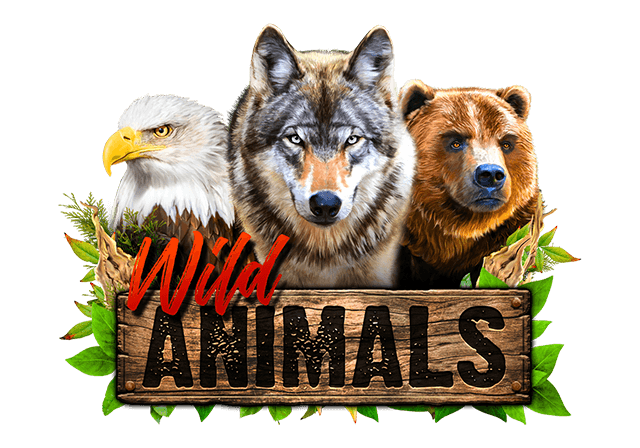 Wild Animals